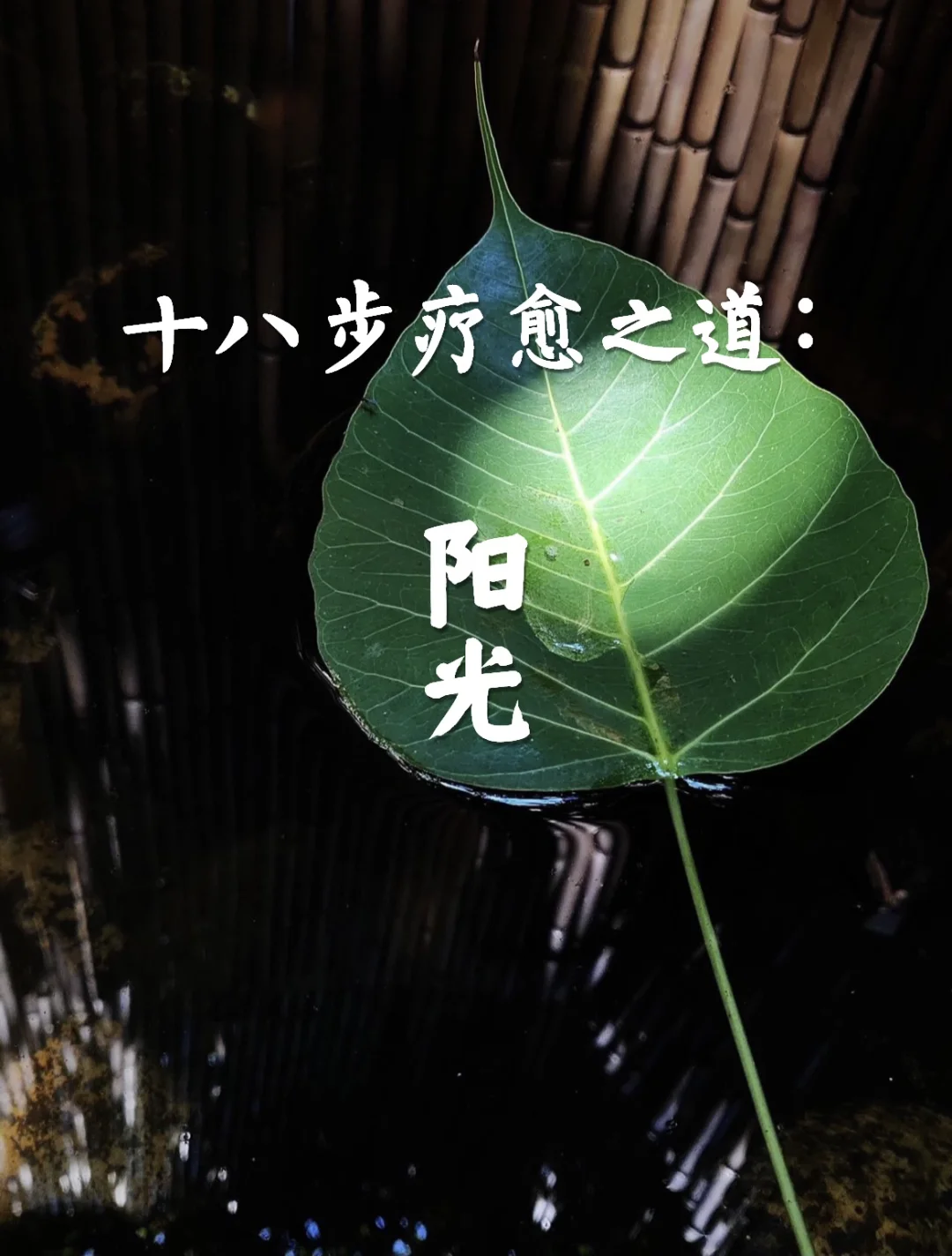 十八步疗愈之道｜阳光☀️（强大的疗愈师）