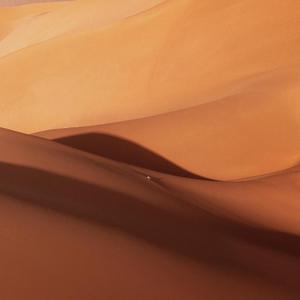 历史的遥远天空