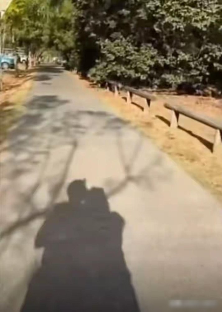 27岁，东方卫视当家花旦，直接在澳洲把男友曝光了。
国庆假期，冯琳跑昆士兰玩，布里斯班、黄金海岸转了一圈。别人躲墨尔本的雨，她跑去昆大拍蓝花楹，出海追鲸鱼，还发了张双人剪影。
网友刚起哄，她反手就认了：对，就是男朋友。不藏着不掖着，照片照发，日常照秀。
这姐们刚入职两年就升制片人，新节目《琳距