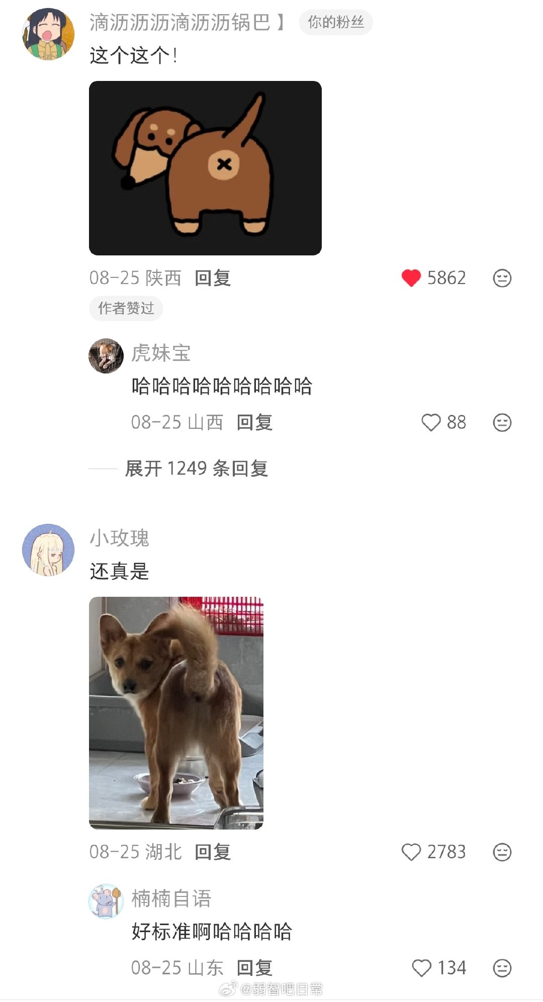 “响”字是小狗回头展示屁眼儿 ​
