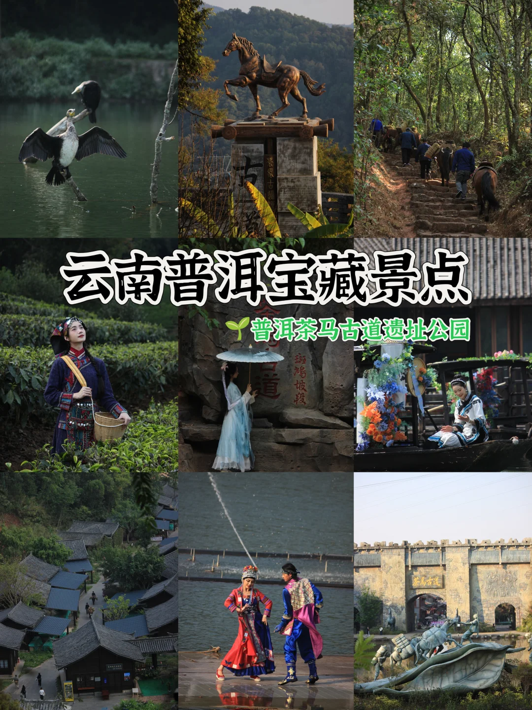 去云南普洱一定不能错过这个宝藏景点❗❗