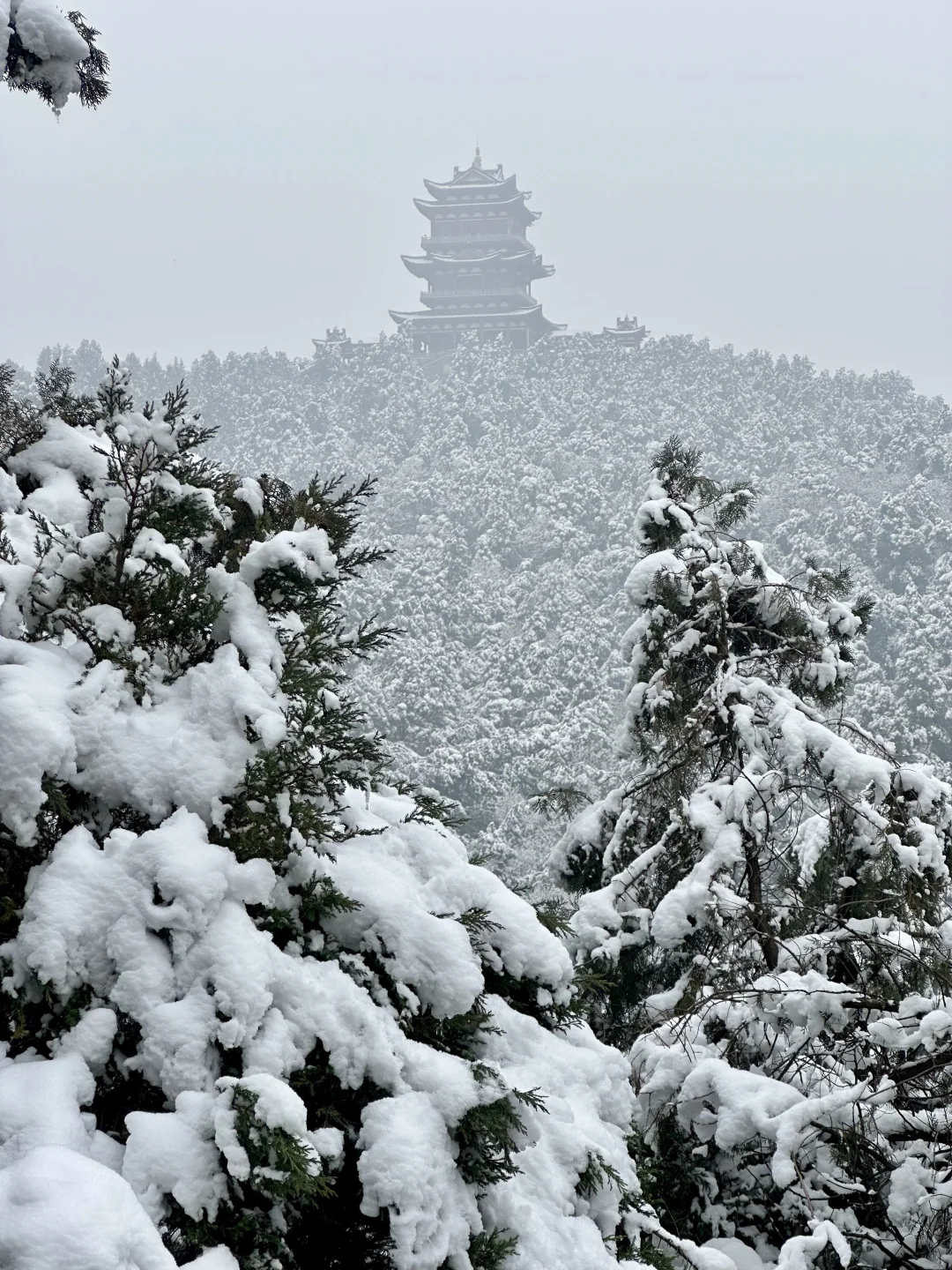 西安周边1h自驾❄️雪中的药王山美成仙境❗️