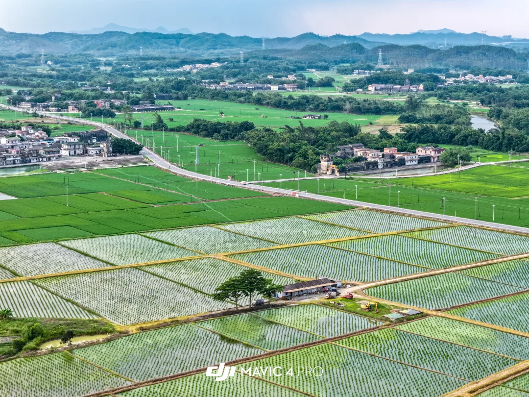 岭南大地的田园画卷