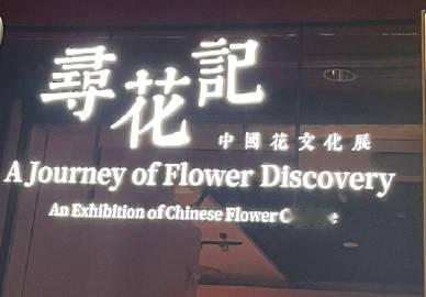 寻花记<br />中国花文化展<br />盛夏时节city walk ...
