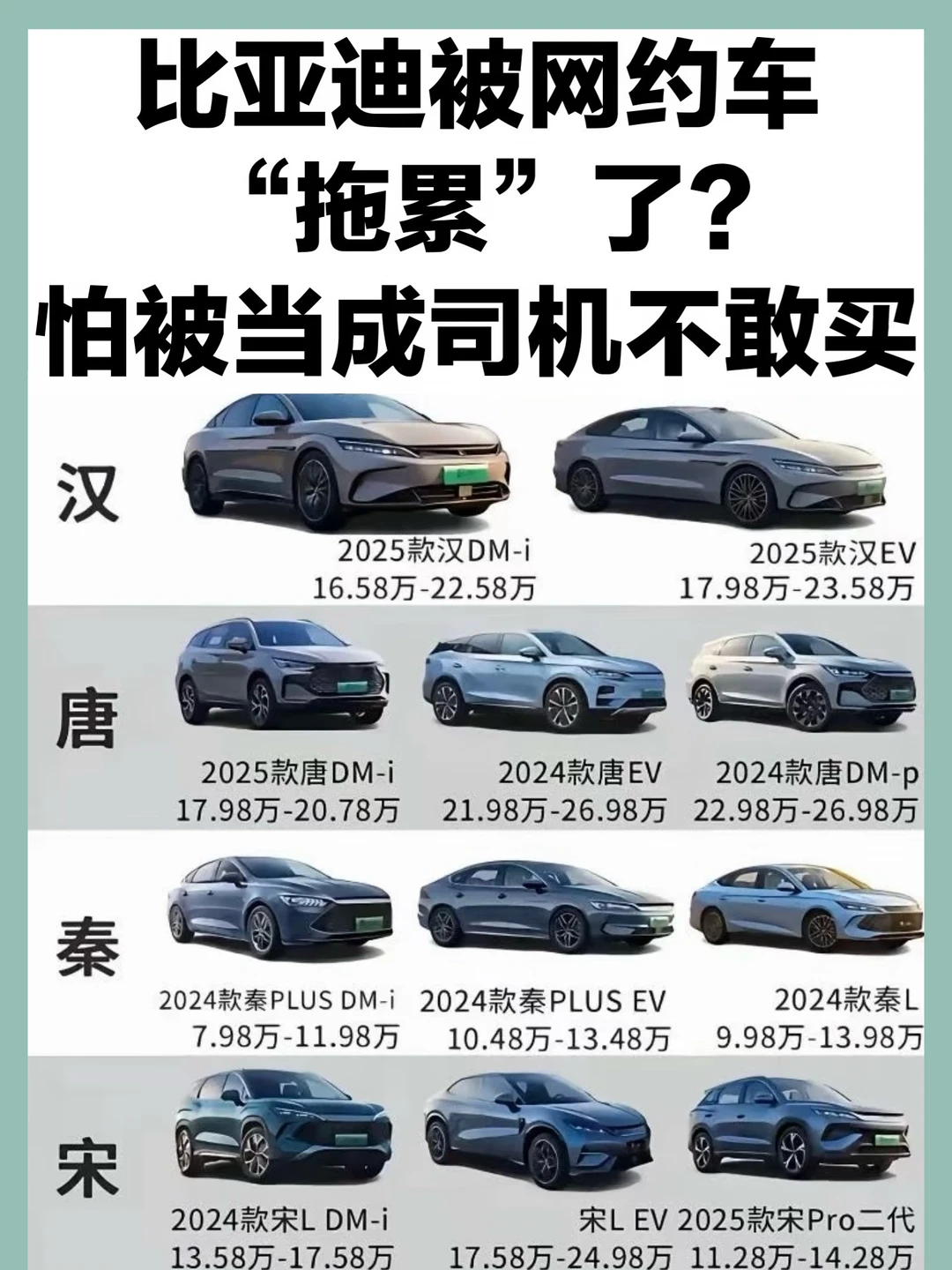 比亚迪成网约车代名词，车主：不想被当司机