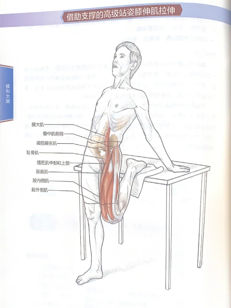 大腿前侧粗又紧？试试这个拉伸