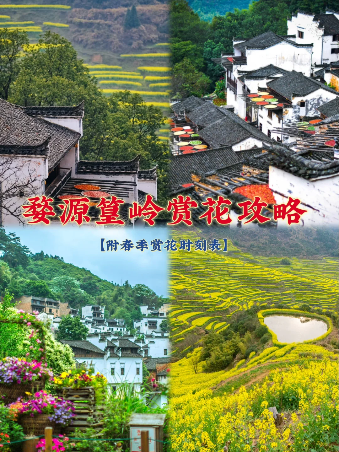 婺源篁岭春季赏花全攻略（附赏花时刻表）