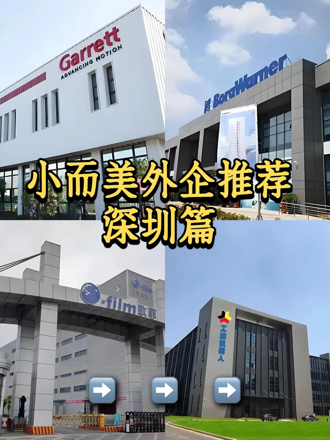 🌷小众外企分享—深圳篇