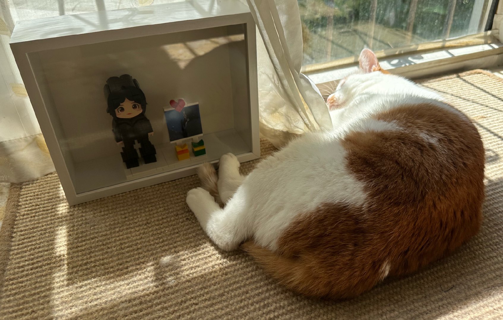 #张子枫[超话]# 晒晒太阳不长毛[流鼻血][流鼻血][流鼻血] ​