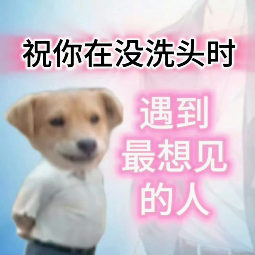 最近爱用的表情包 .ᐟ‪.ᐟ