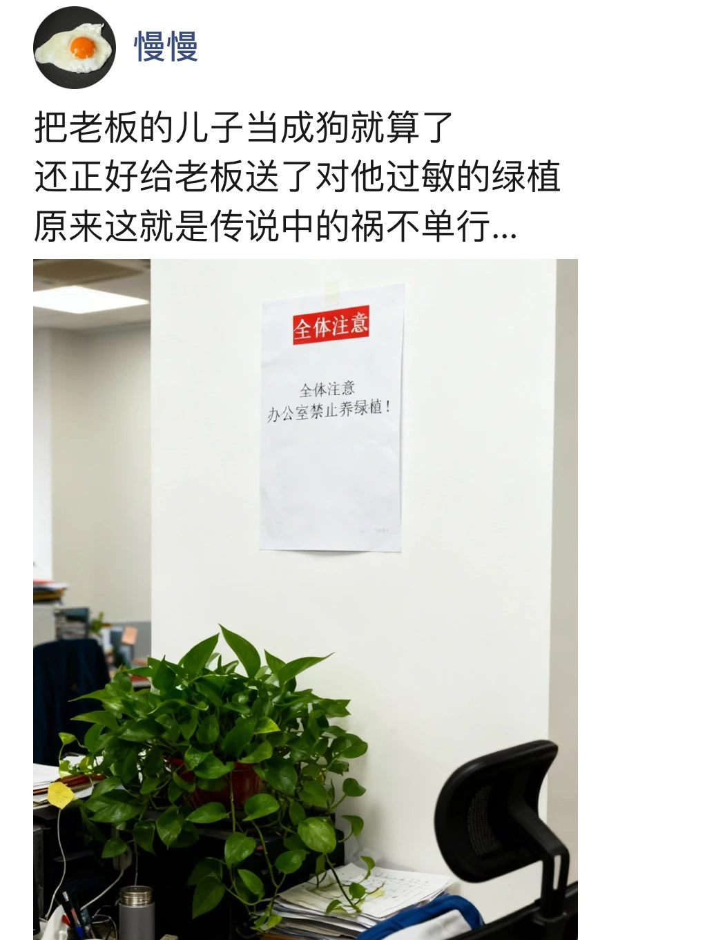 人怎么能闯出这么大的祸...