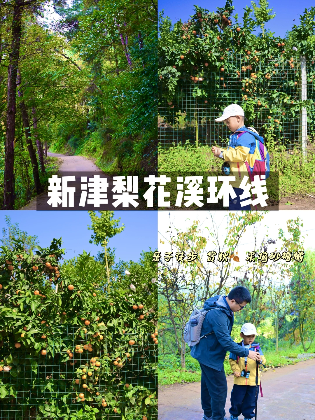 成都1h‼️超小众冷门亲子徒步新津梨花溪环线