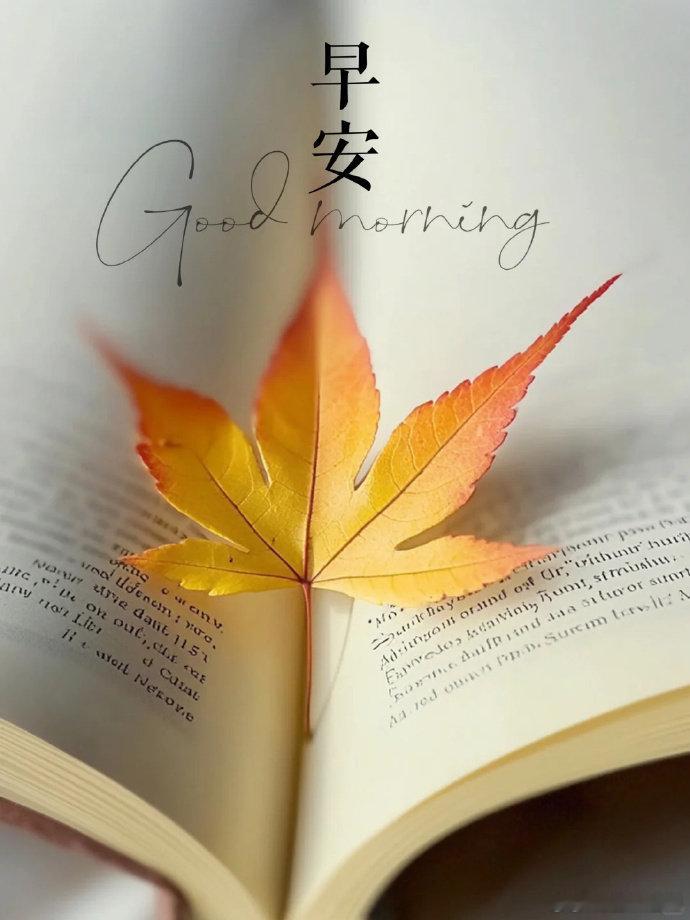 #早安# 早安，愿你今天的心情像这书页上的枫叶一样，温暖而美丽。 ​