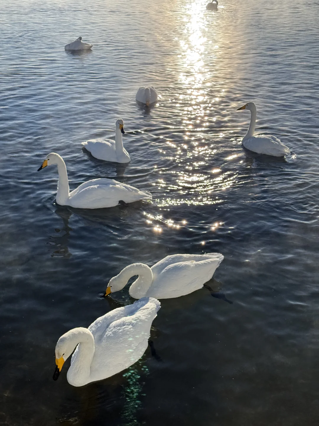 终于知道这种胶片蓝调氛围感滤镜怎么调了‼