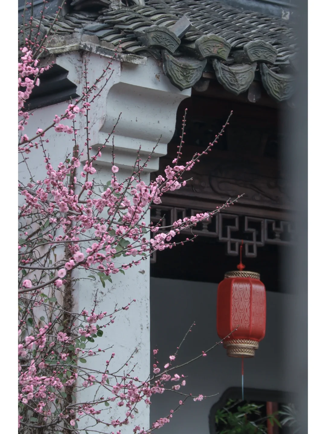 郭庄｜西湖边的古典园林，杭州小众赏梅胜地