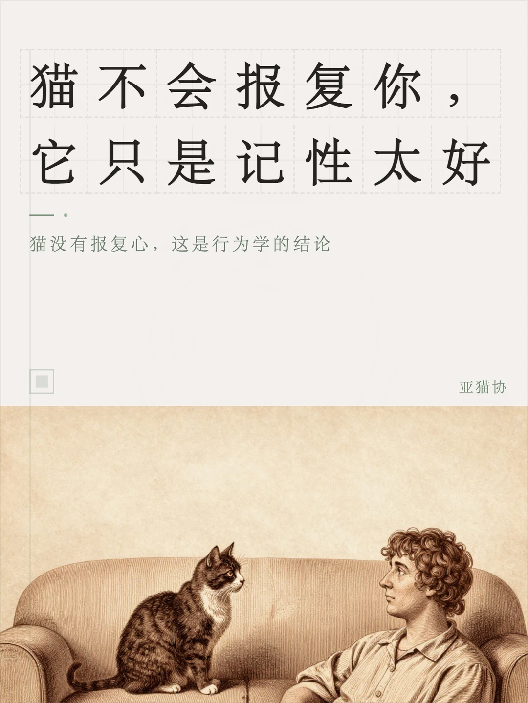 猫不会报复你，它只是记性太好