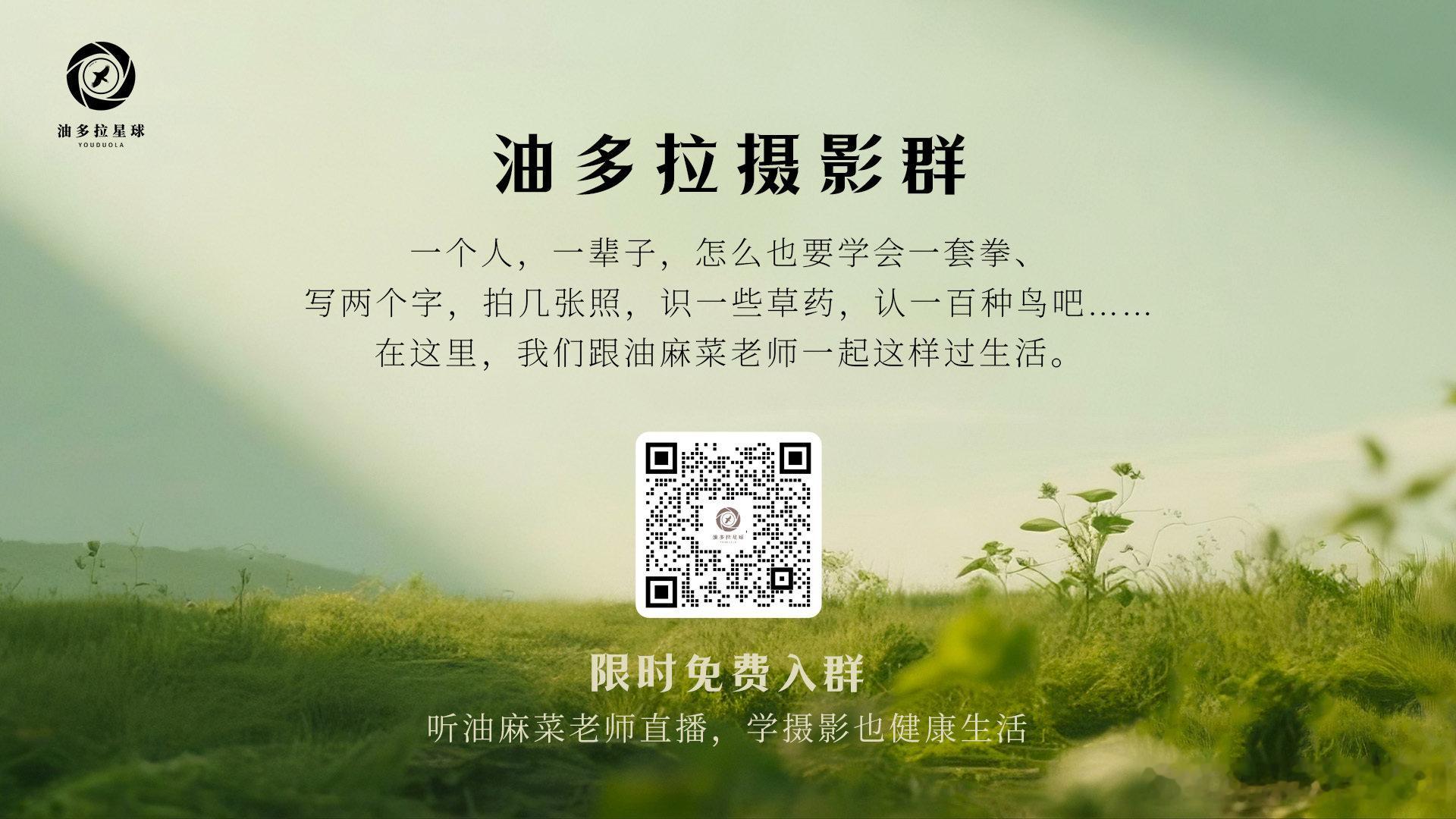 坚持一件事的力量，不仅在于你做成什么事，更在于通过做这件事，把你变成一个言出必行、一门深入的践行者。
#油多拉影像生活##鸟类摄影##学摄影##摄影记录##记录生活# ​