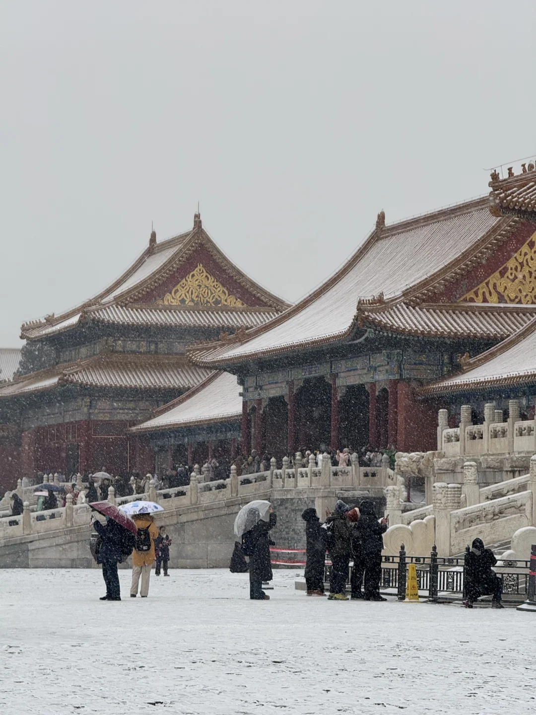 北京的第一场雪！故宫的雪景杀疯了！！