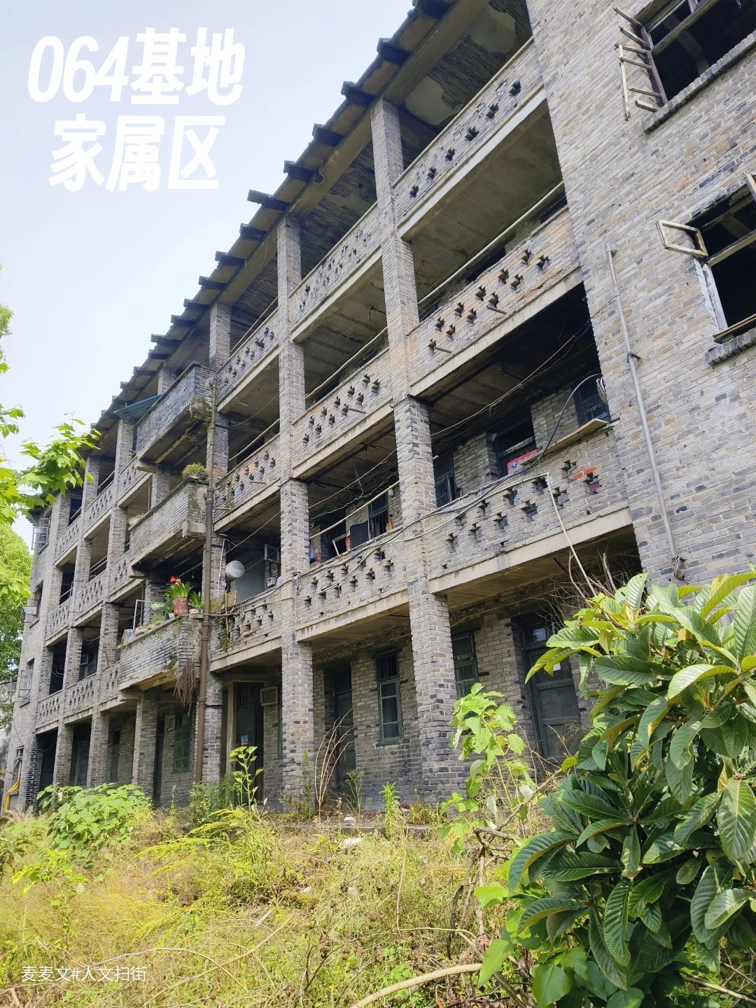 【达州】深山荒废老楼竟是064基地家属区