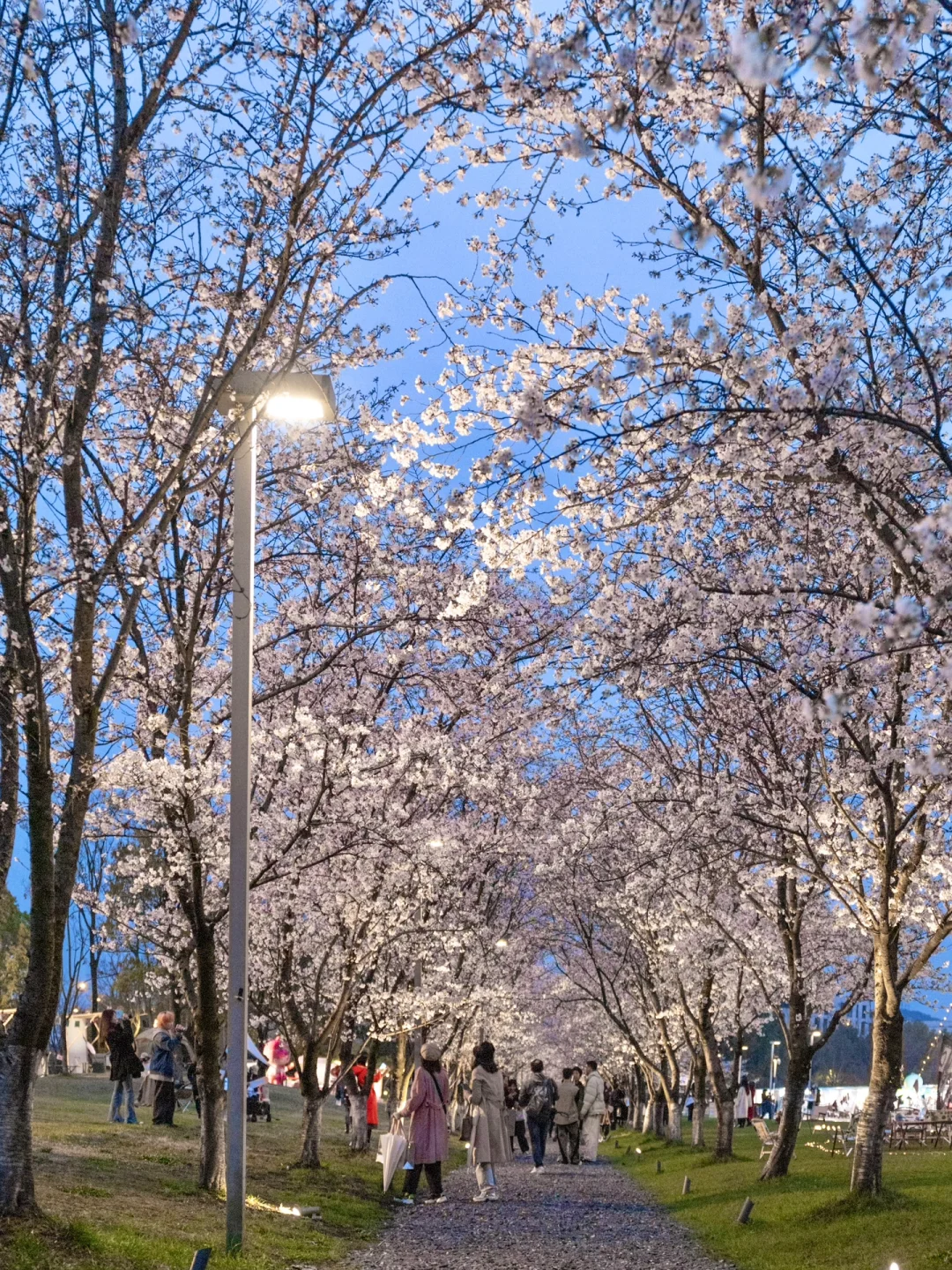 以为西湖已经够美了，直到我去了这里…