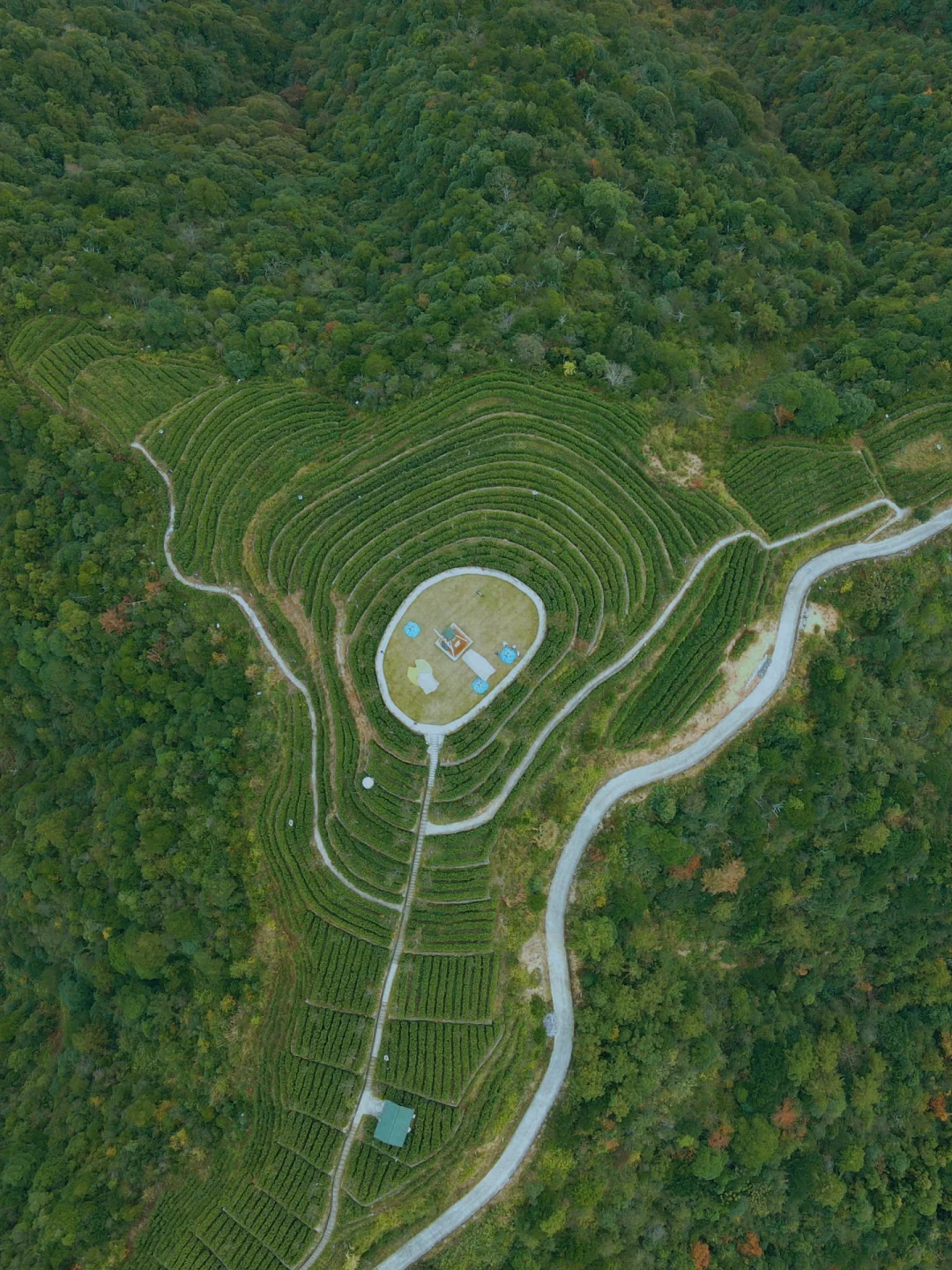 乐清｜一日游茶园岭底啦马场啦酱油厂芦苇啦