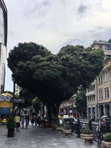 在一个陌生的城市，短短三天就开始慢慢适应熟悉了。醒了就找当地的美食吃吃...