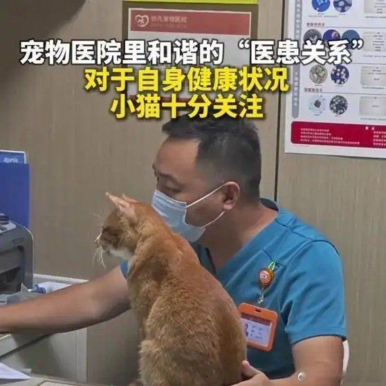 宠物医院里和谐的“医患关系”248 ​