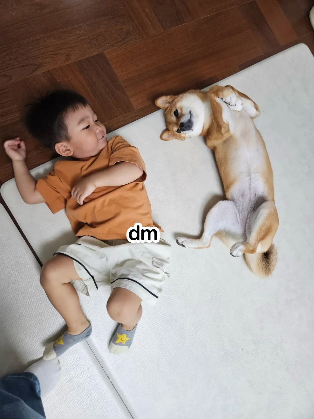 秀彬DM分享小侄子和Tori躺在一起的照片🥰