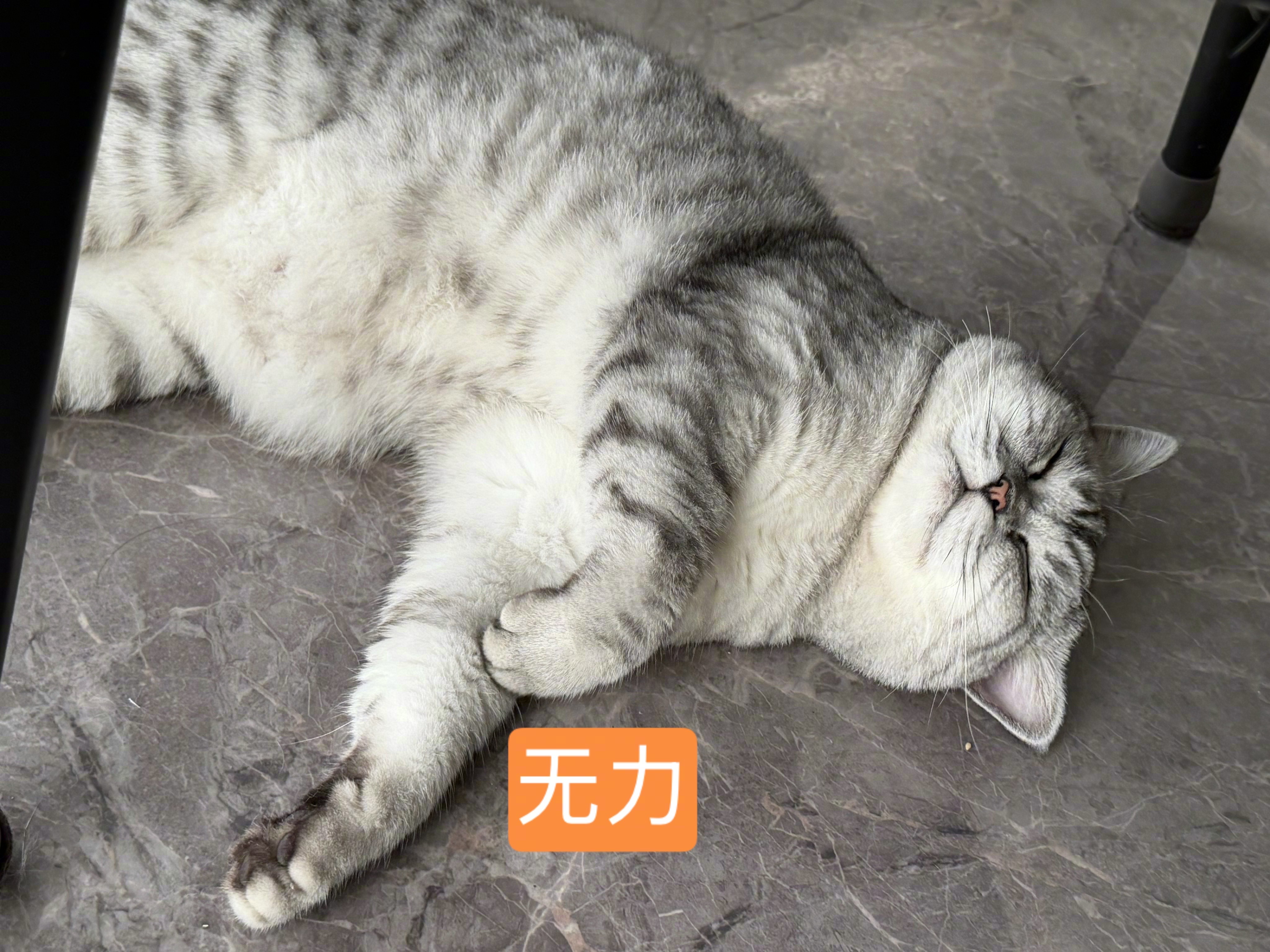 虽然我没有转发南方医科大之前那个抹黑导师的谣言，但我并不庆幸自己的判断力，有时候就是直觉或侥幸罢了。因为我以前也判断失误过。
客观上来说，在信息不足的时候，很多事情是无法判断的，
但是网络又给了人讨论空间。很多人在讨论相关事件的时候，本意并不是为了传谣，而是出于自发的正义感。
真正 ​