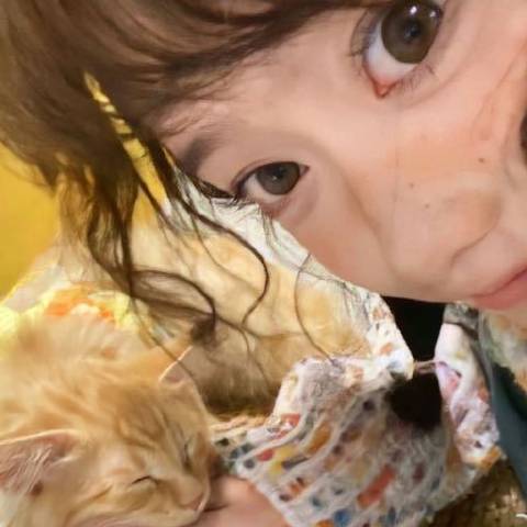 剧中探险家