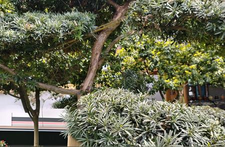 离婚未必不好       图/文/森川         中国以儒家主导...