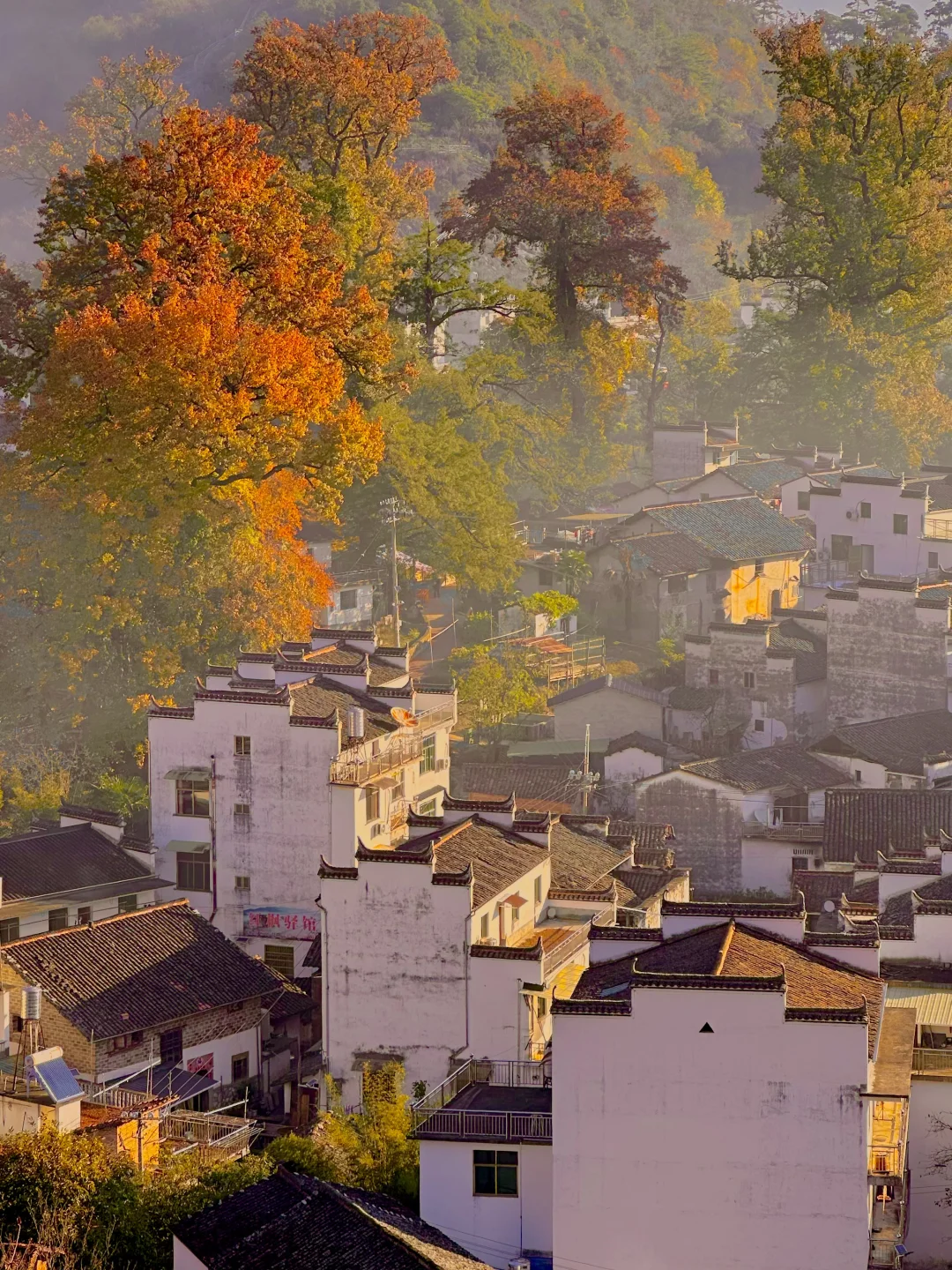 被《国家地理》评为中国最美的秋天🍂有多绝