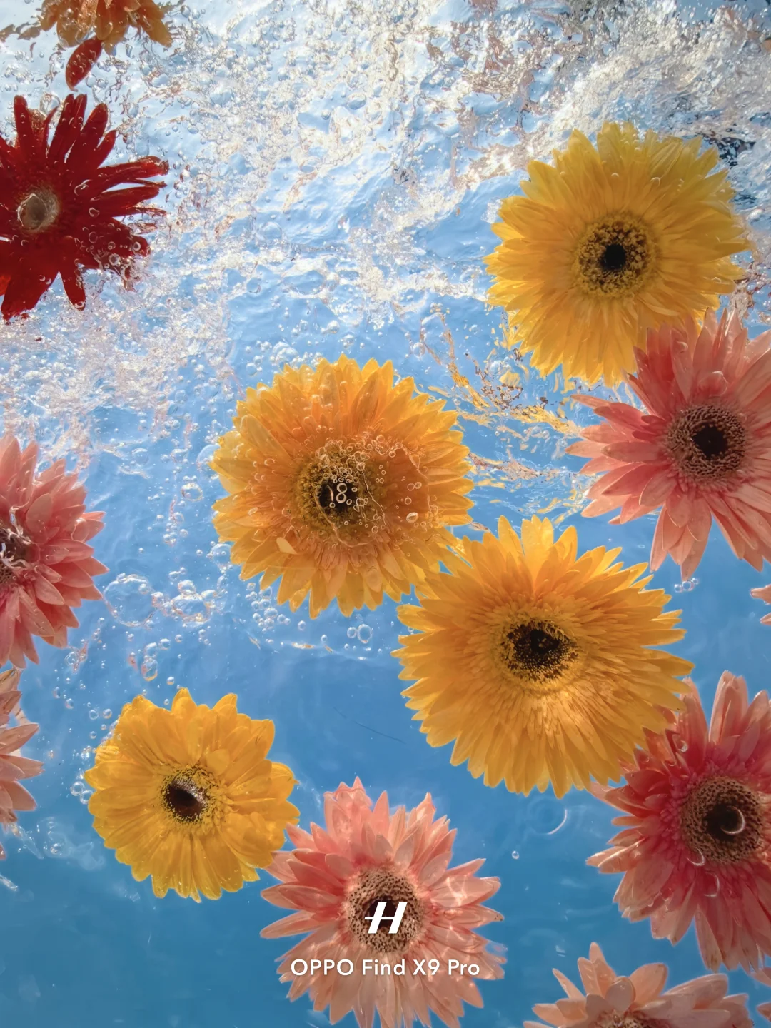 终于知道这种春日氛围感滤镜怎么调了‼