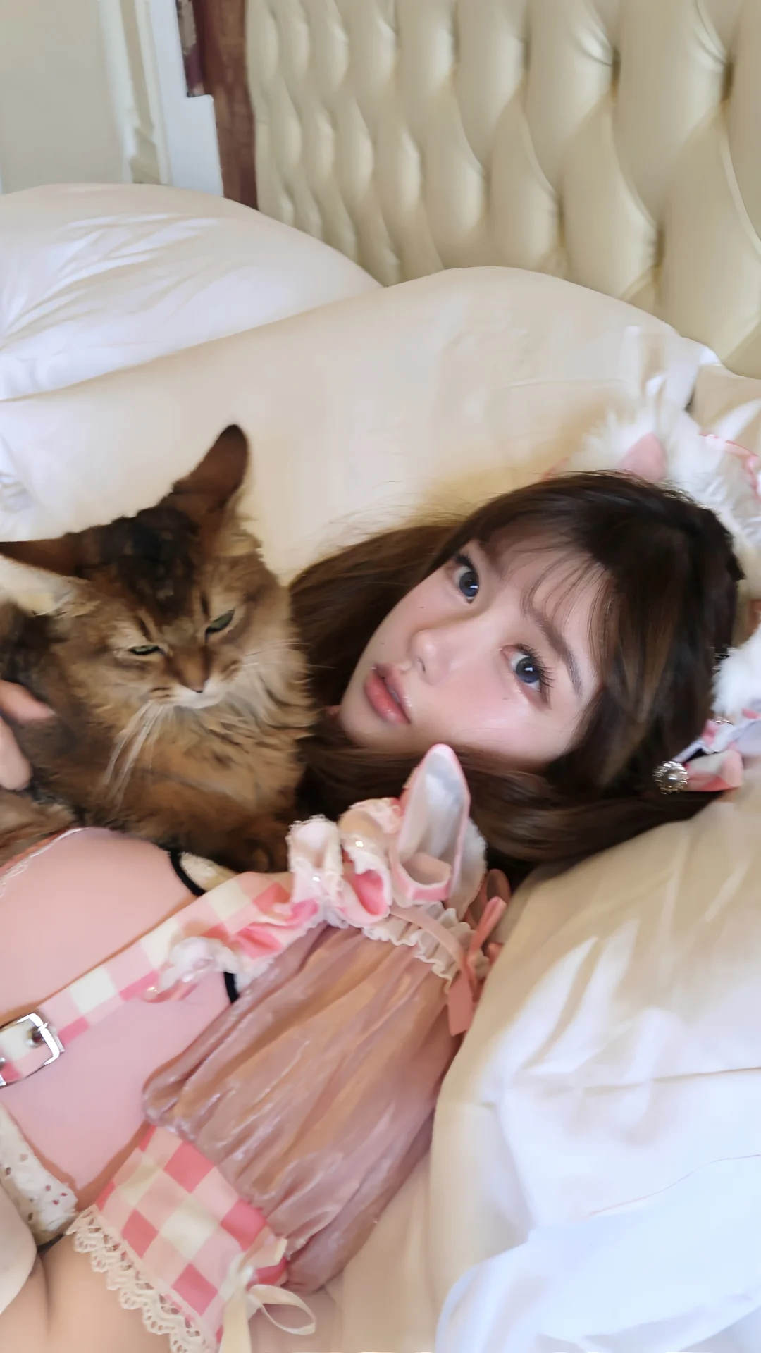 公主和骑士