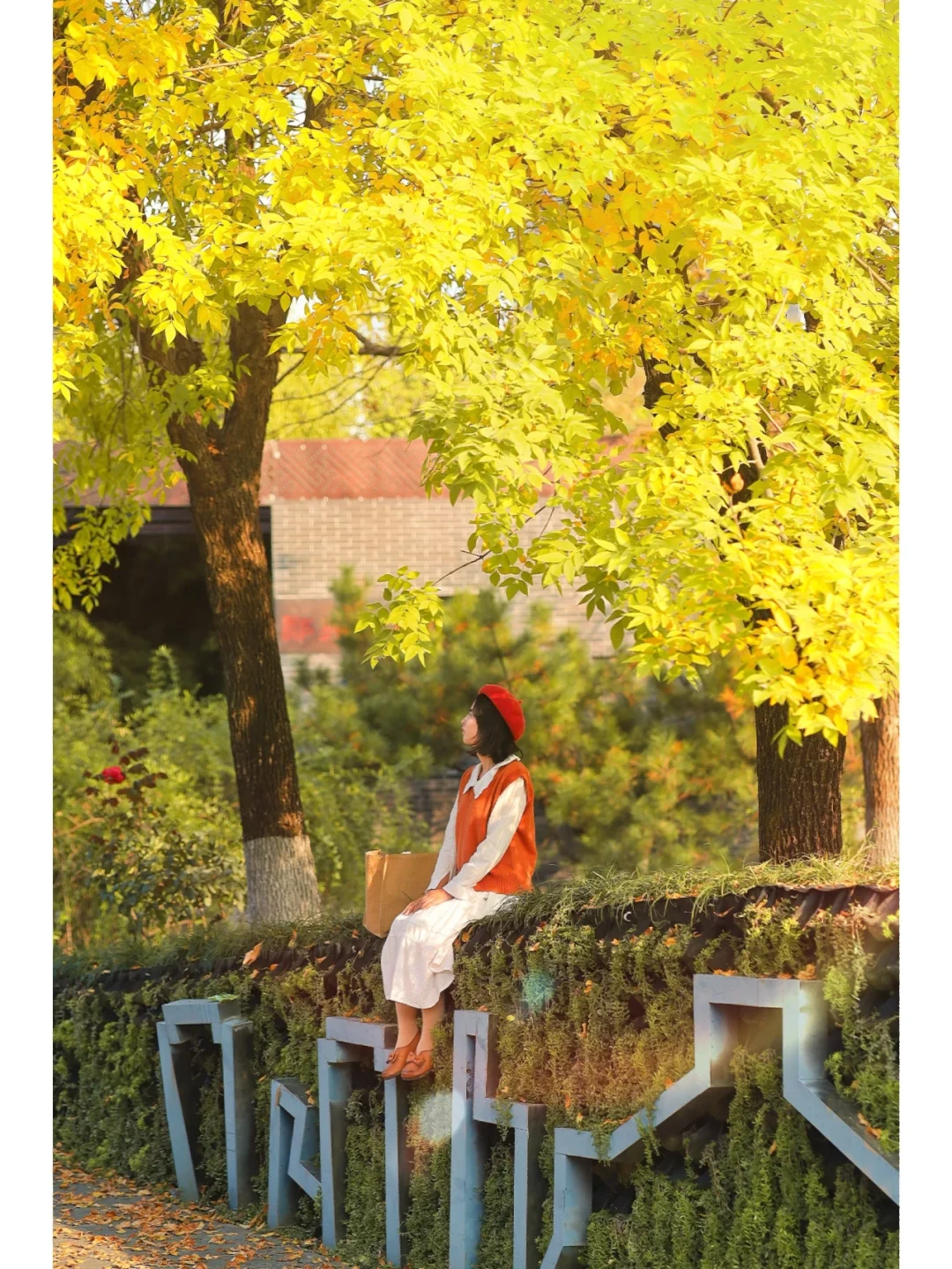 呜呜！掉进秋日童话，武汉这片无人秘境美哭