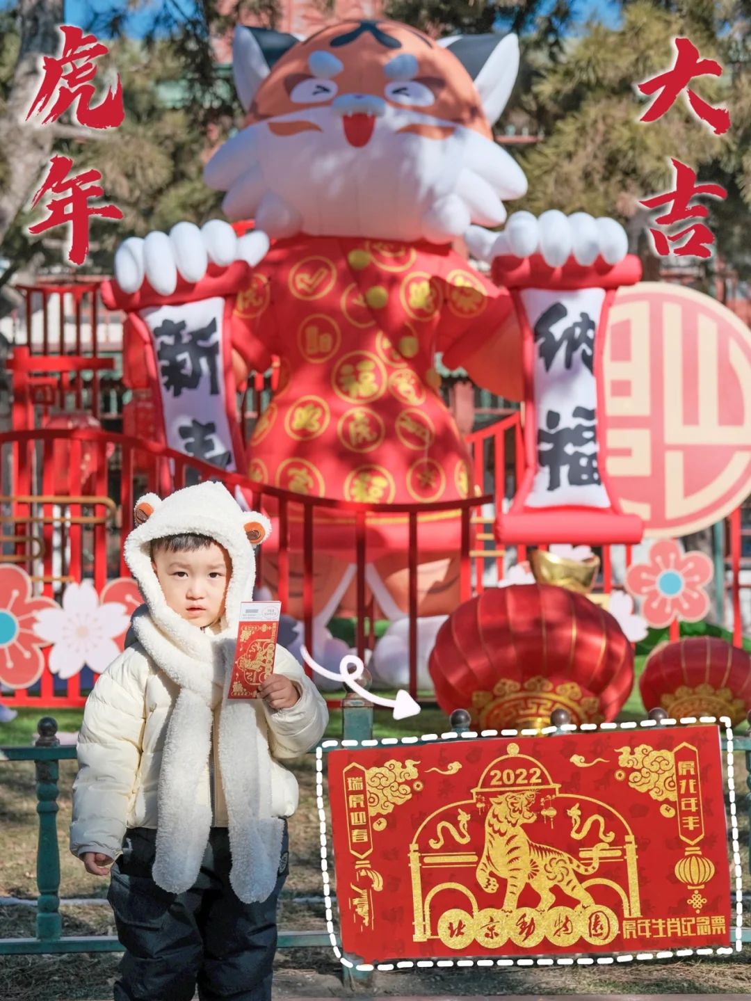 虎年北京动物园限量生肖门票🐯速度冲啊❗️