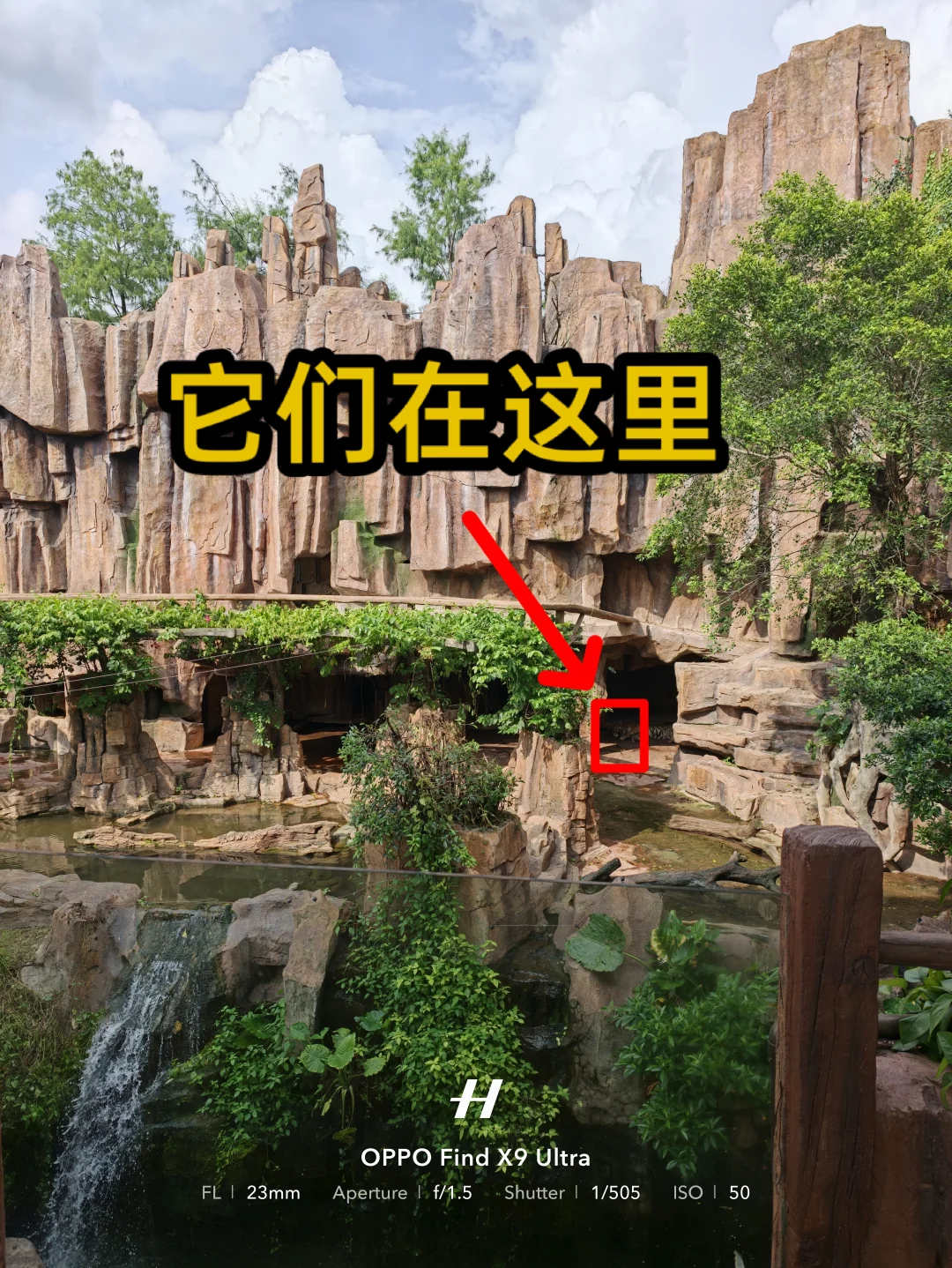 📷看动物的正确打开方式