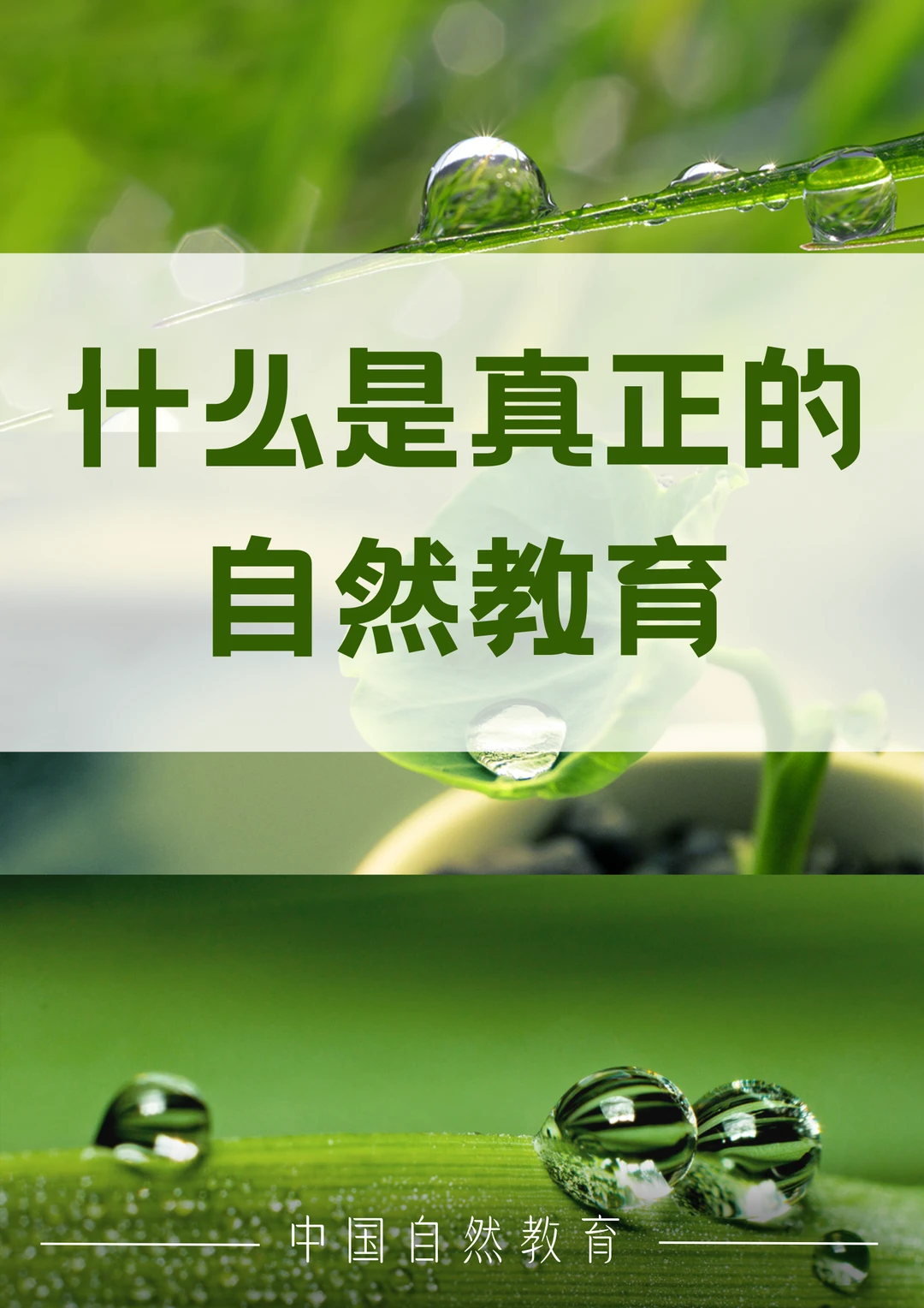 什么是自然教育？