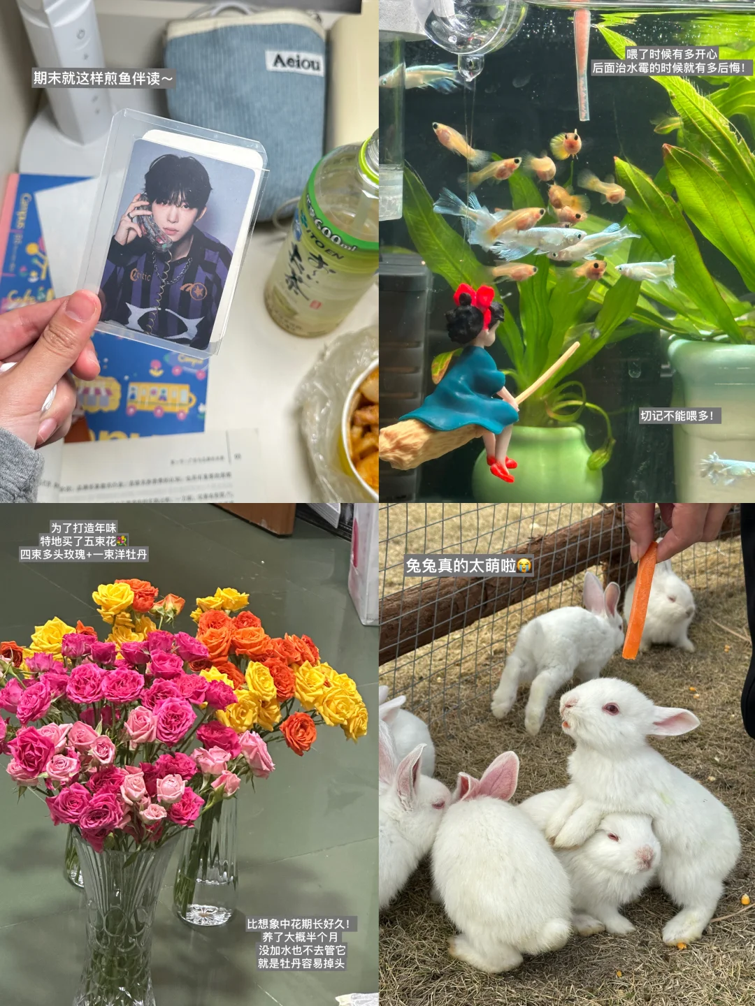 大三日记4/❄️·°·寒假加载完毕 🎧✨