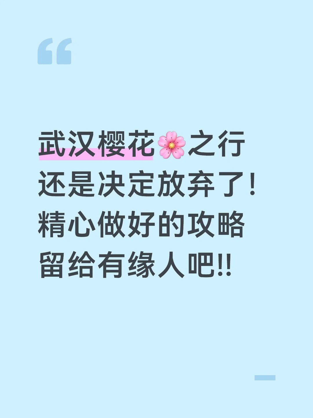 本J人做的武汉樱花攻略已经是next level了…