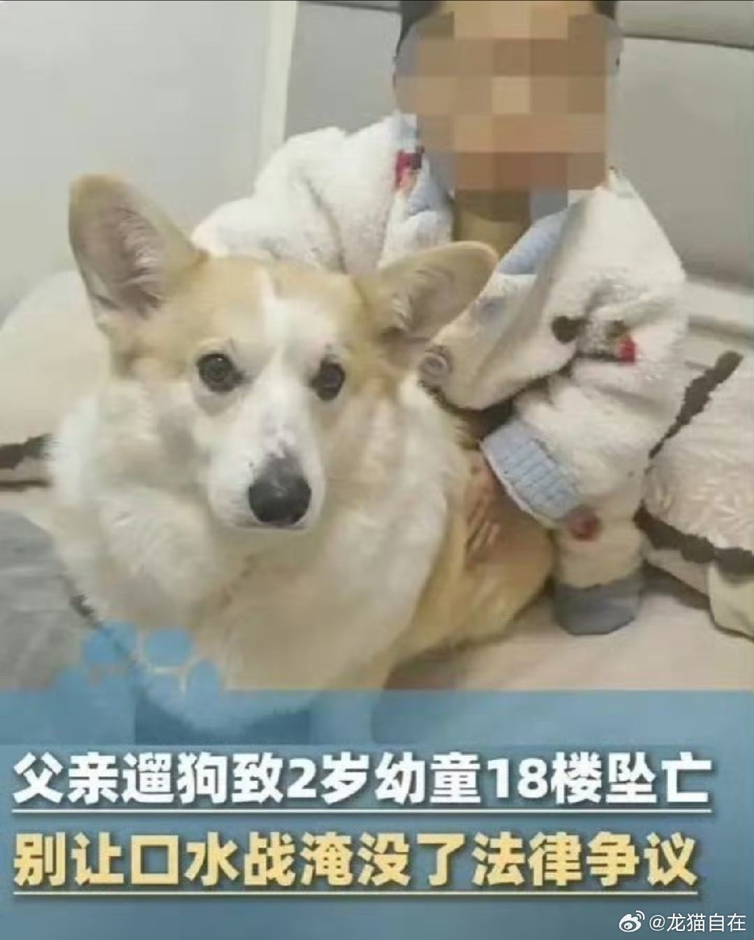 #父亲遛狗2岁幼童坠亡事后已将狗处理#  孩子妈妈并没有迁怒小狗，小孩和小狗的合影都是妈妈在孩子遇难后发出来纪念孩子的，妈妈非常清楚孩子坠亡完全是男方的责任，自始至终没有觉得狗有什么问题。
然而导致孩子坠亡的罪魁祸首父亲却把无辜的小狗“处理”掉了。有恨狗人士借题发挥说什么“狗比人重要” ​