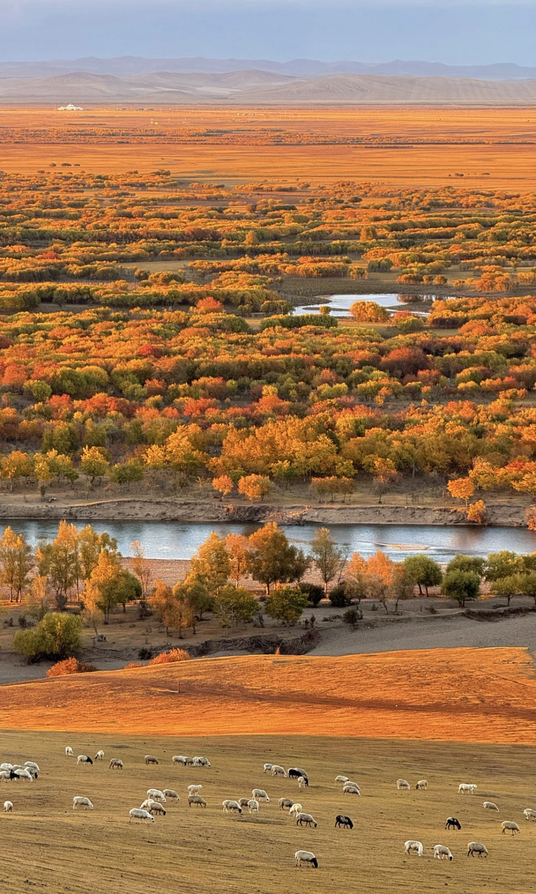 在大兴安岭九月的金秋，幸福开始满屏具象化