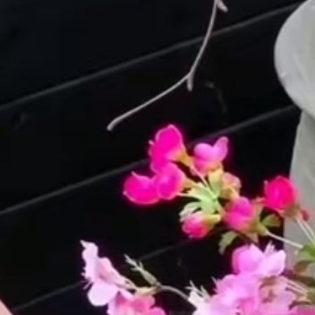 [超话]人生就像马拉松，获胜的关键不在于瞬间的爆发，而在于途中的坚持。...