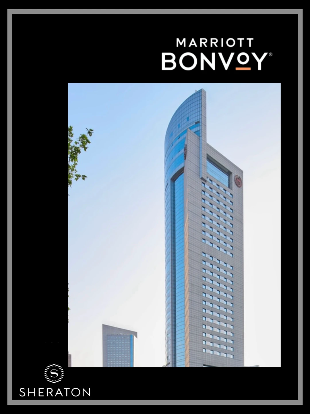 天府丽都喜来登｜1元1串的      啵啵鸡🐓