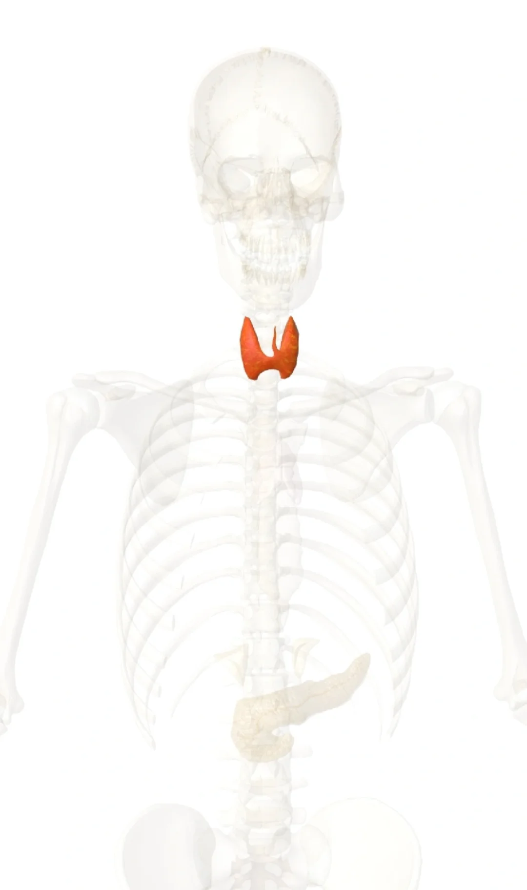 讲免疫力低下的一种普遍情况。