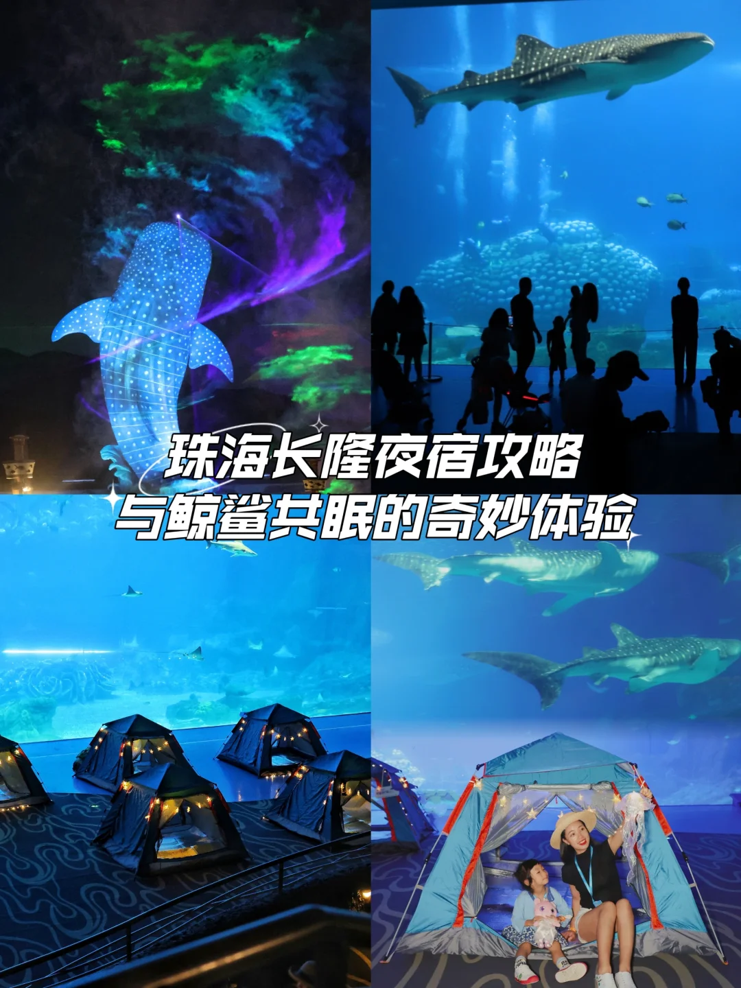 珠海鲸鲨奇妙夜，与鲸鲨共眠的新奇体验