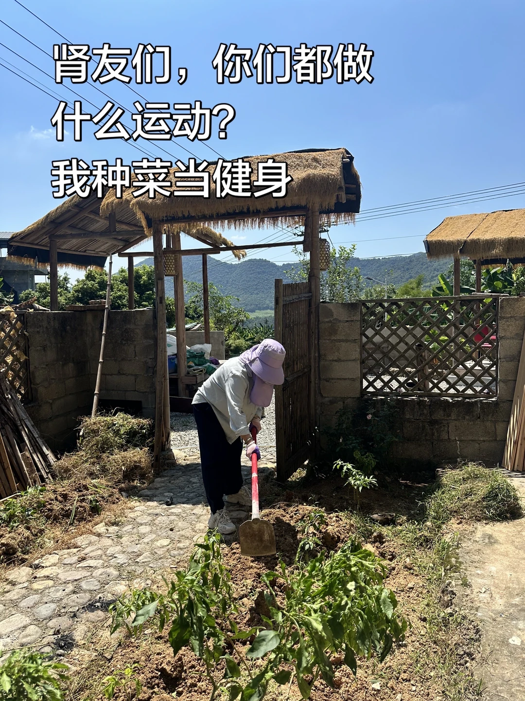 肾炎转阴17年还复发
我懂了一件事
人生无法预判未来
现在的我种点菜当健身
珍惜
