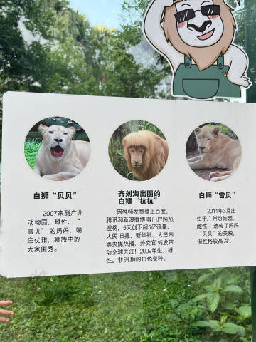 阿杭竟然去世了，之前去动物园的时候就对它很有印象，前几天刷还刷到它被潮...