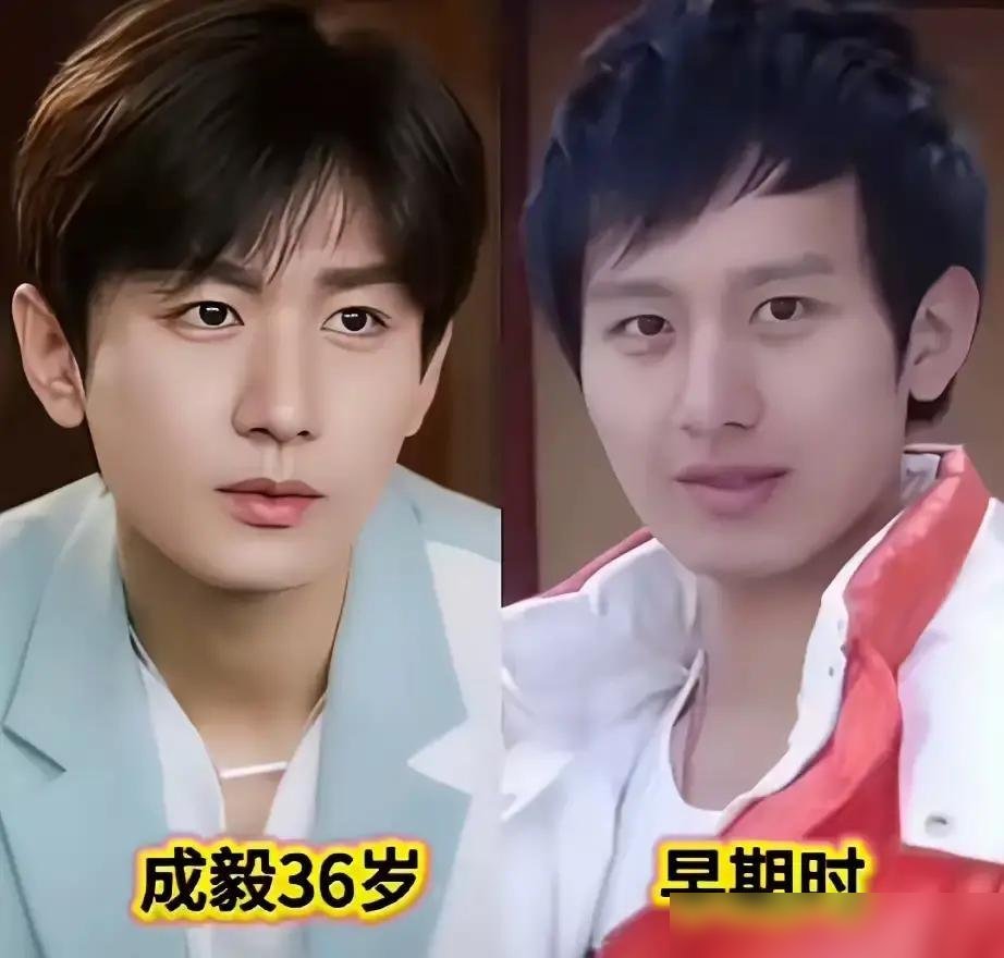 檀健次拿了金鸡提名，肖战新剧刚上央视，成毅又进组了。看着挺风光对吧？但这帮人十年前，连个正脸镜头都得跪着求。
成毅跑龙套那会儿，片场盒饭都轮不上热乎的，现在一人分饰祖孙两角演军旅剧。肖战没戏拍就去演话剧，台下观众还没台上演员多，如今《小城良方》预约直接干到122万。檀健次更狠，商演台下空得能听见回