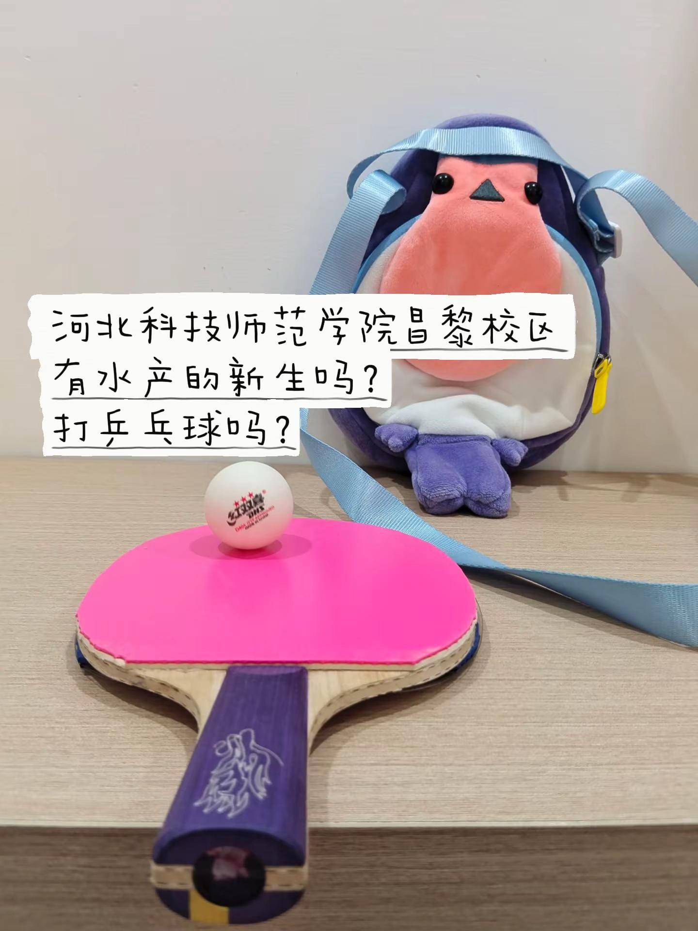 孙颖莎